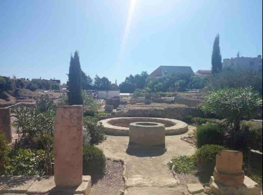 Appartement Soleil Sucre T2 Centre Historique De Narbonne Extérieur photo