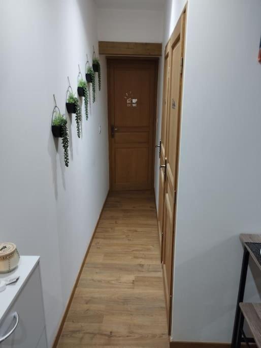 Appartement Soleil Sucre T2 Centre Historique De Narbonne Extérieur photo